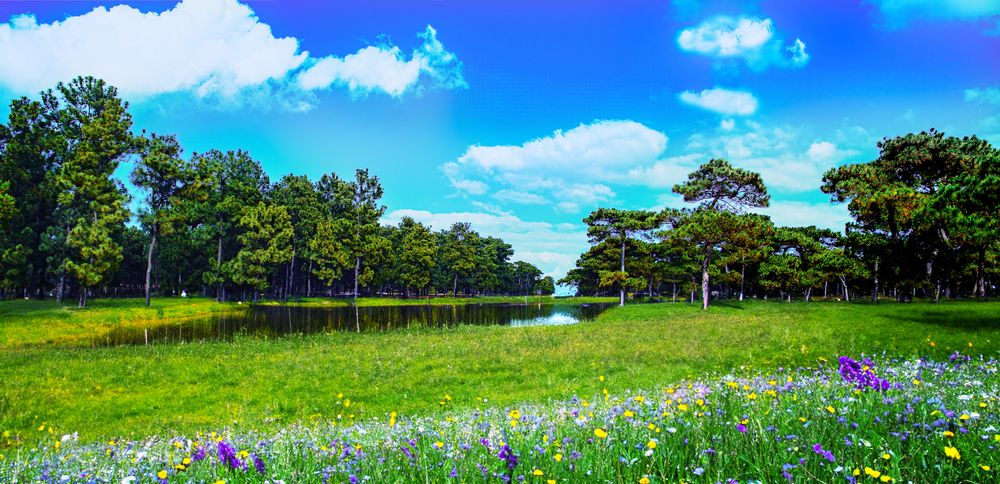 Photograph by PHƯƠNG NGUYỄN THÀNH