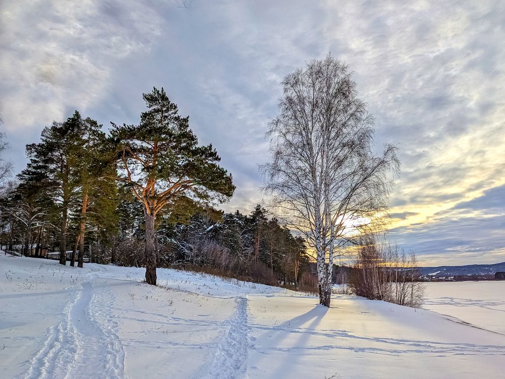 Зимнее утро