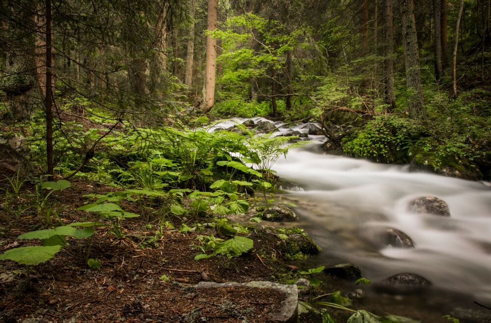 Фотография автора Василев Теодор