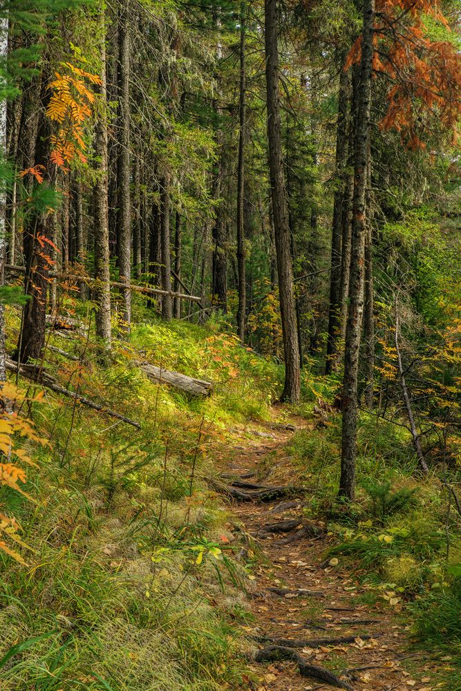 Photograph by Кирилл Аксенов