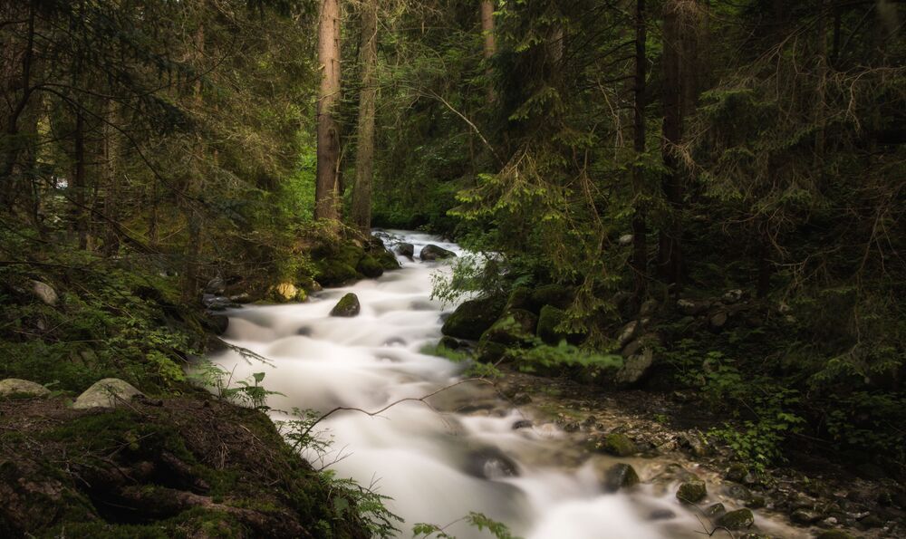 Фотография автора Василев Теодор