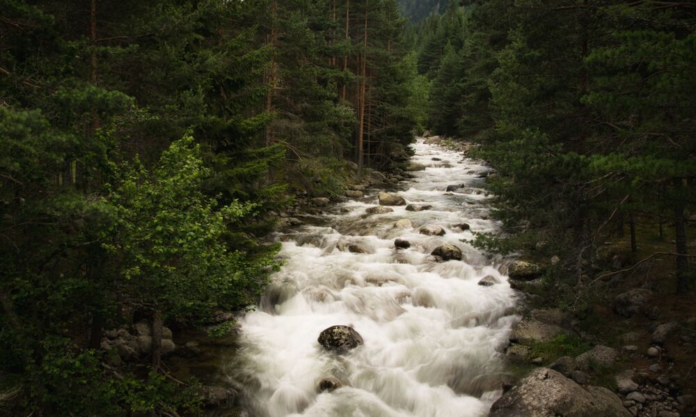 Фотография автора Василев Теодор