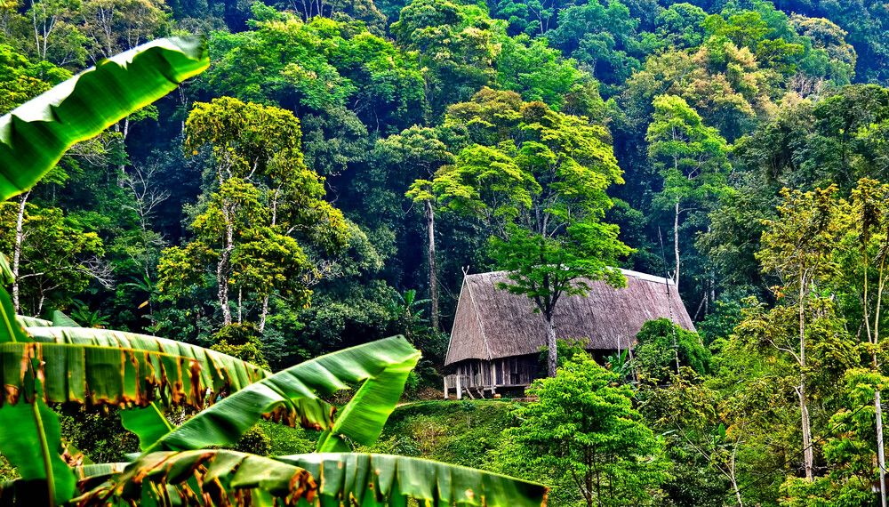 Photograph by PHƯƠNG NGUYỄN THÀNH