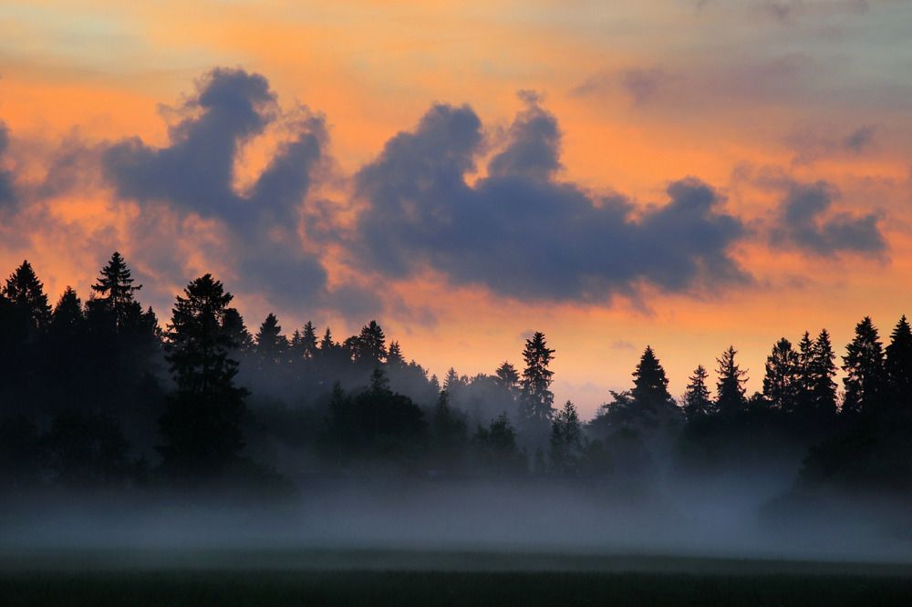 Photograph by Vladimir Freedom