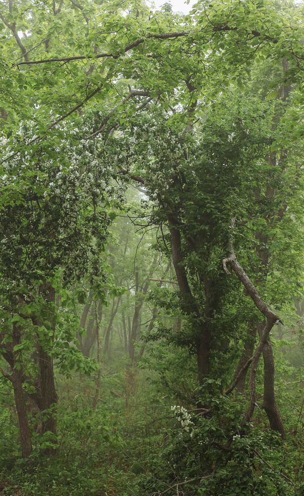 Photograph by Наталья Лобанова