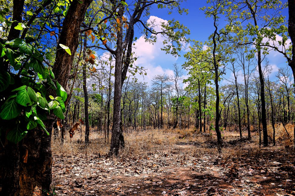 Photograph by PHƯƠNG NGUYỄN THÀNH