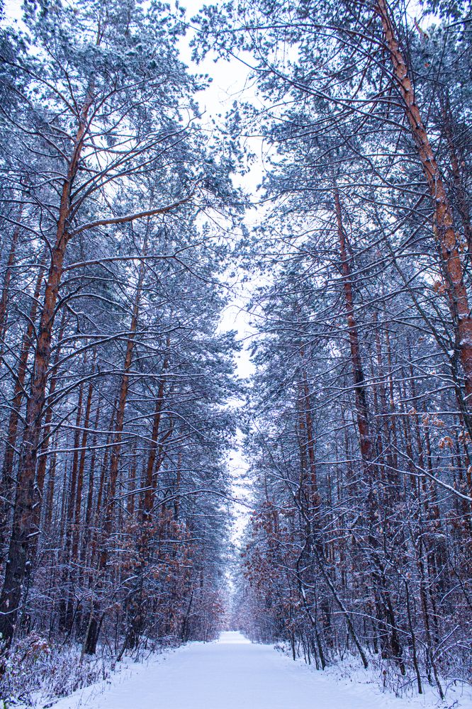 Photograph by Анна Осинцева