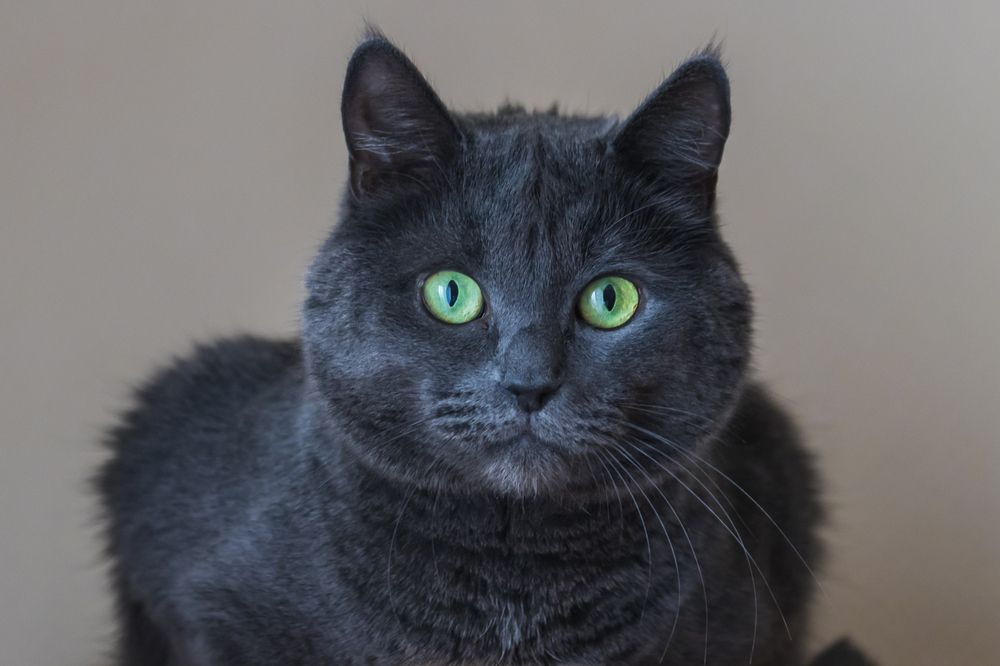 Photograph by Татьяна Гладкова