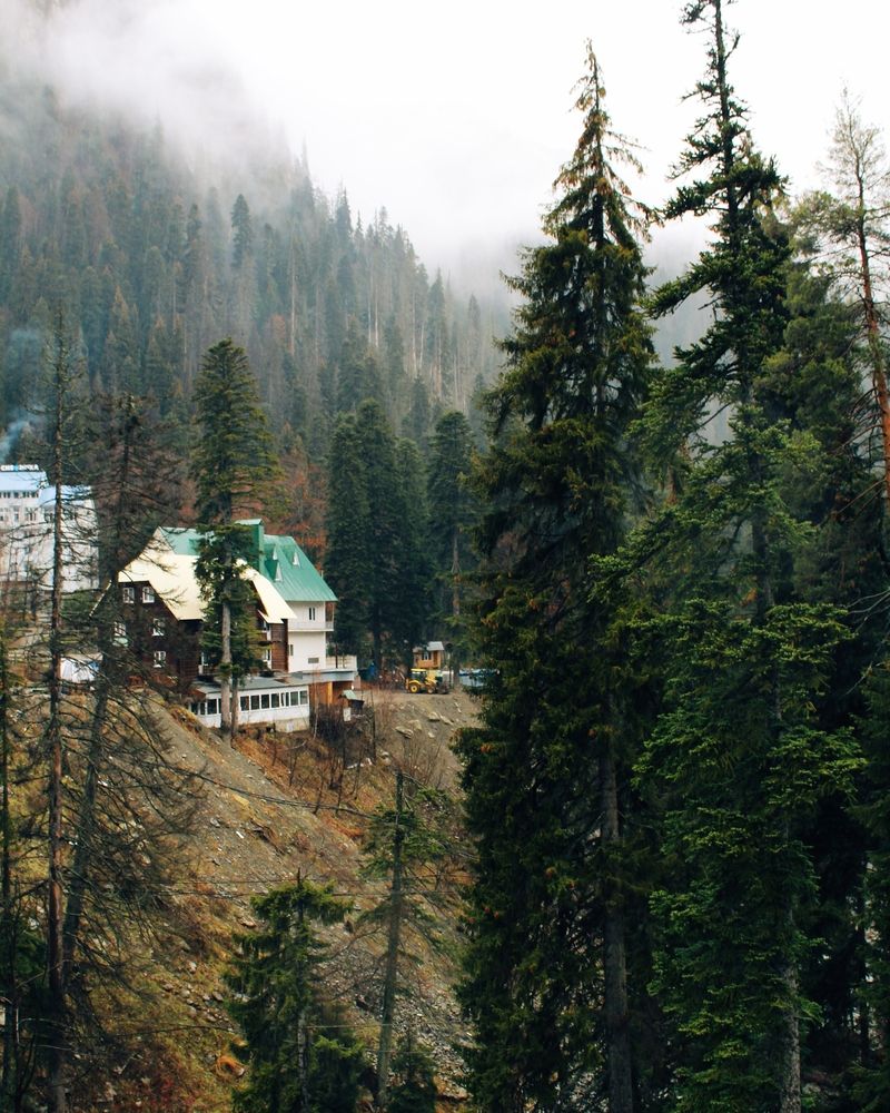 Photograph by Дарья Великодная