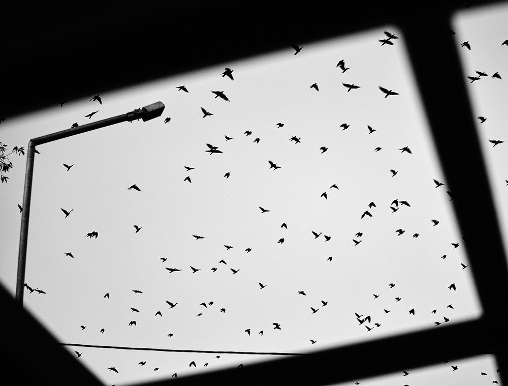 Фотография автора Наталья Новикова