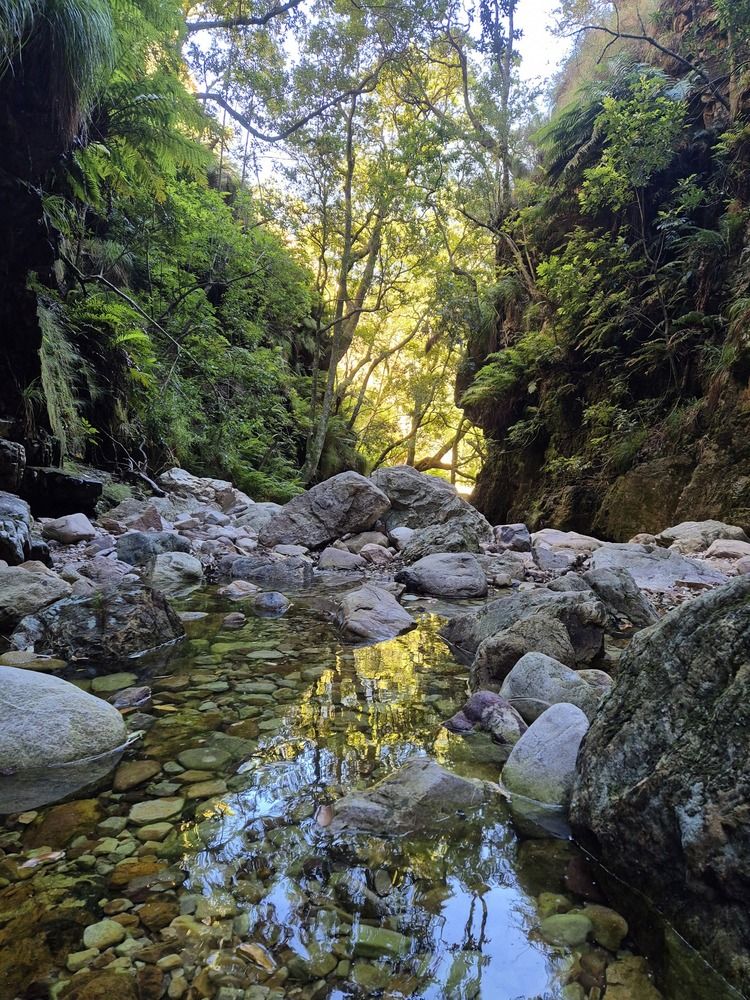 Photograph by Michael