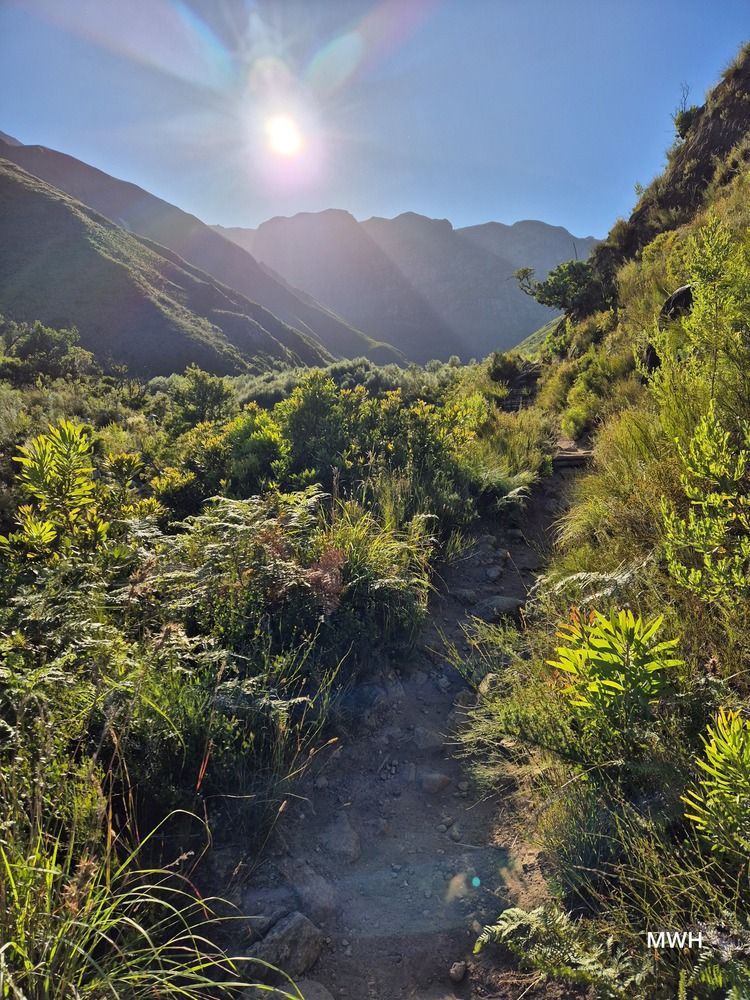 Photograph by Michael