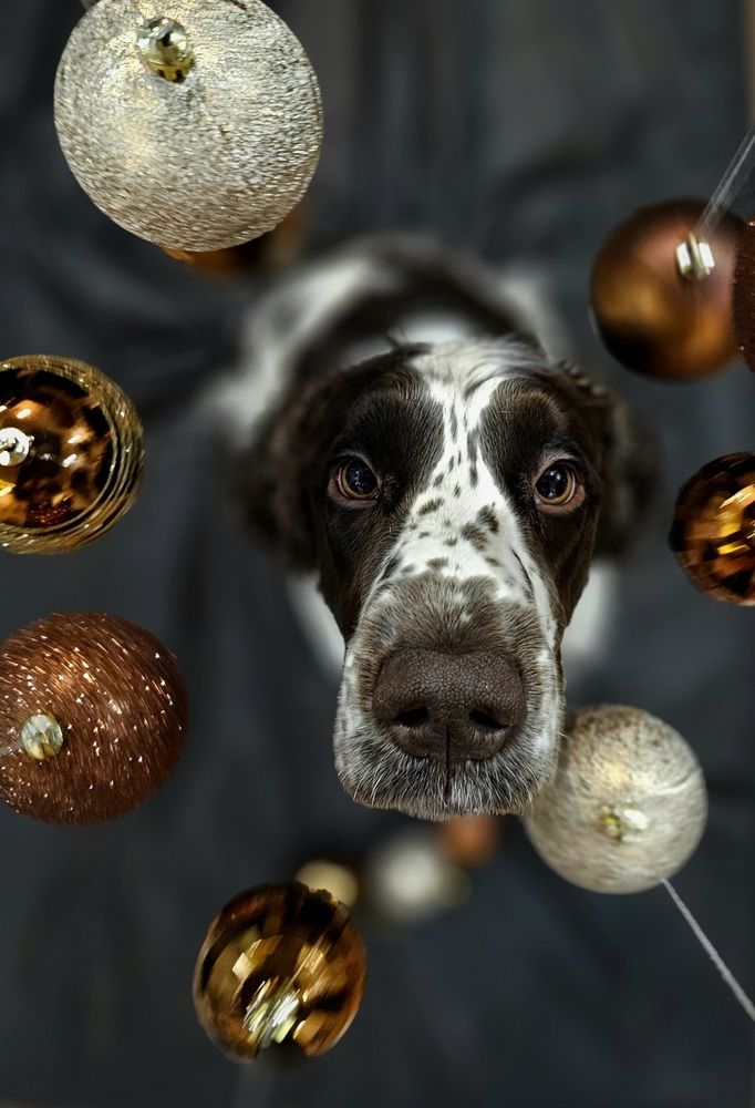 Photograph by Ирина Лукашова