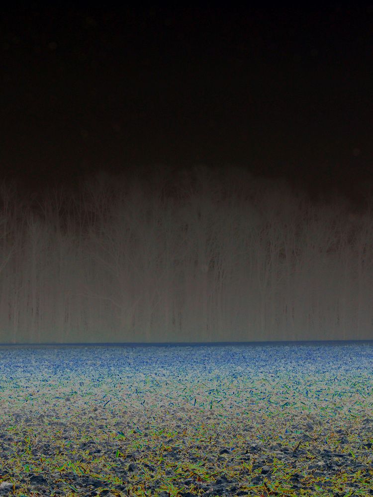 Photograph by Kent Flora