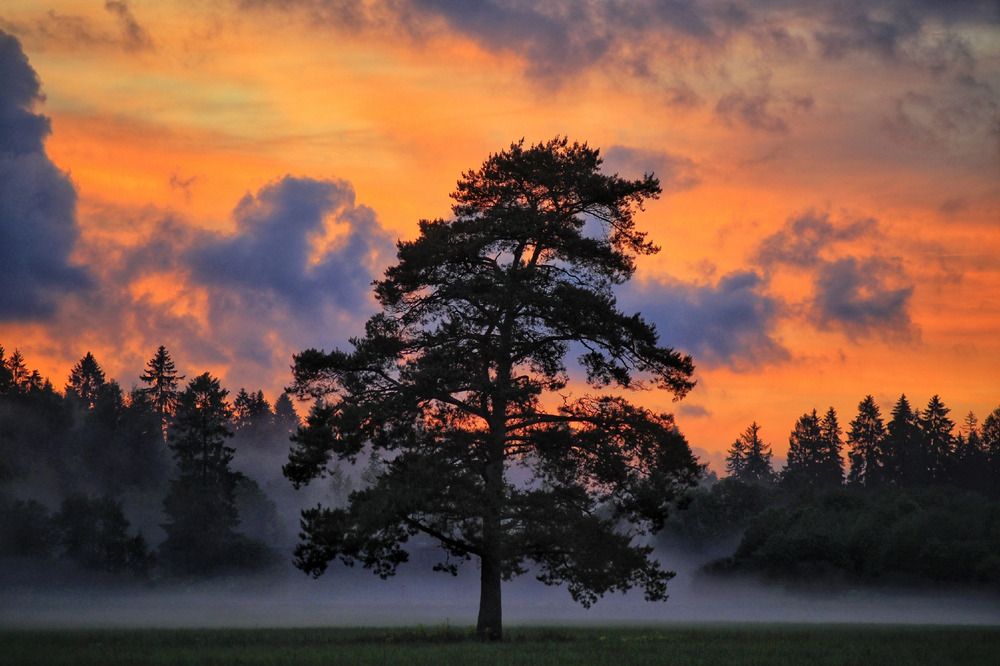 Photograph by Vladimir Freedom