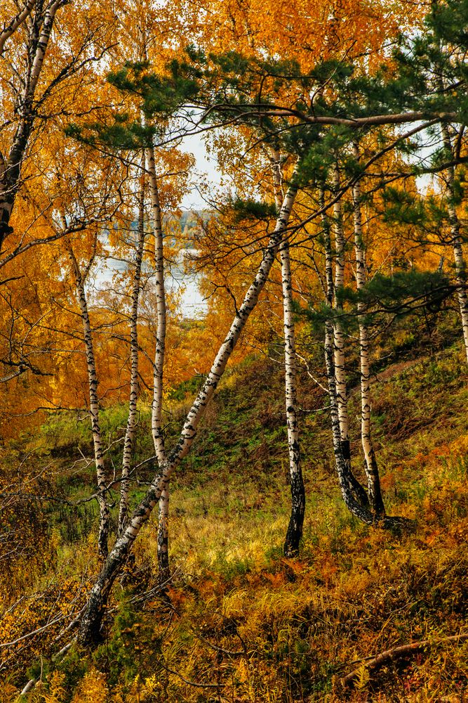 Photograph by Кирилл Аксенов