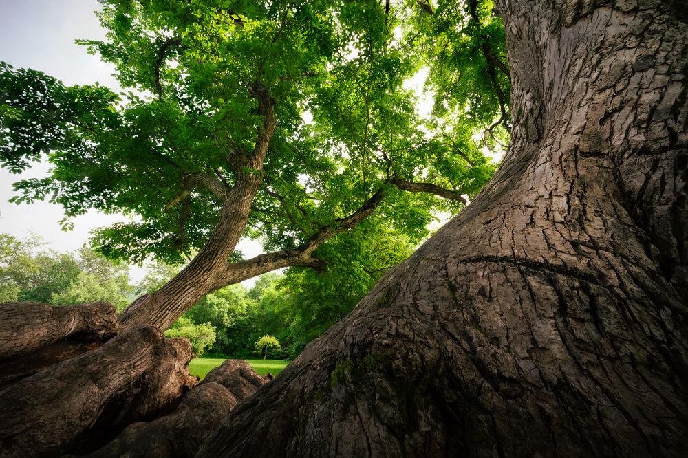 Photograph by Антон Сидоров