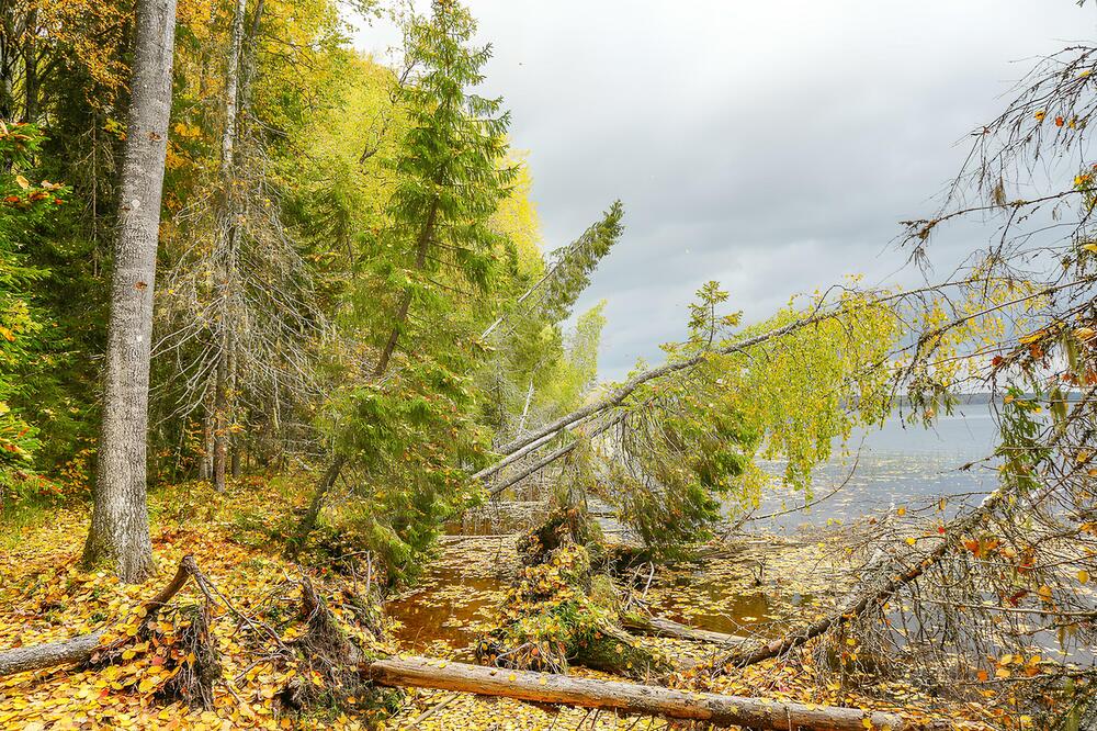 Photograph by Иван Жуков