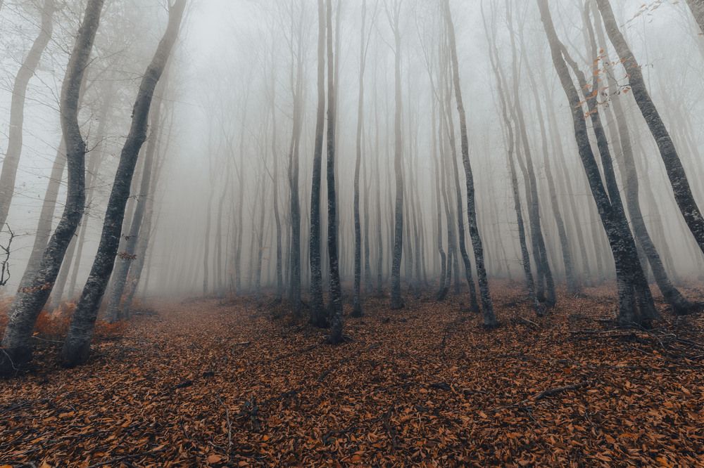 Photograph by Yilmaz Keles