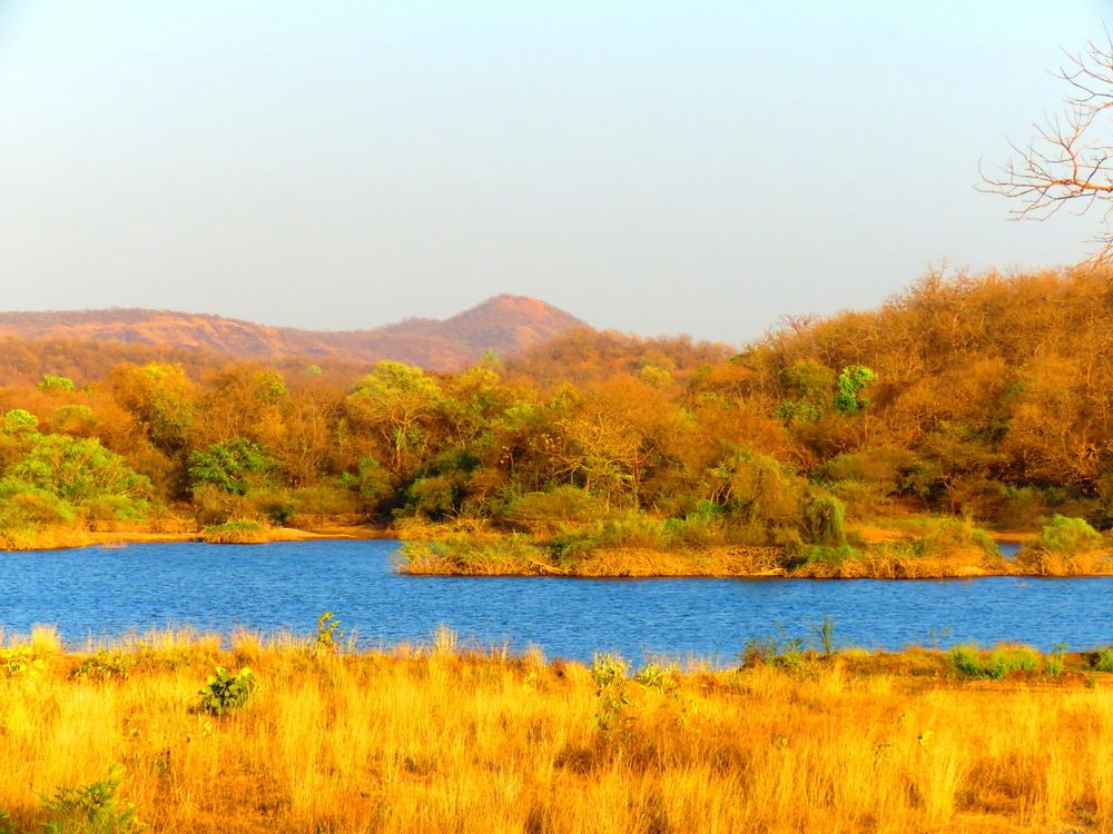 Photograph by SUCCESS LOVER