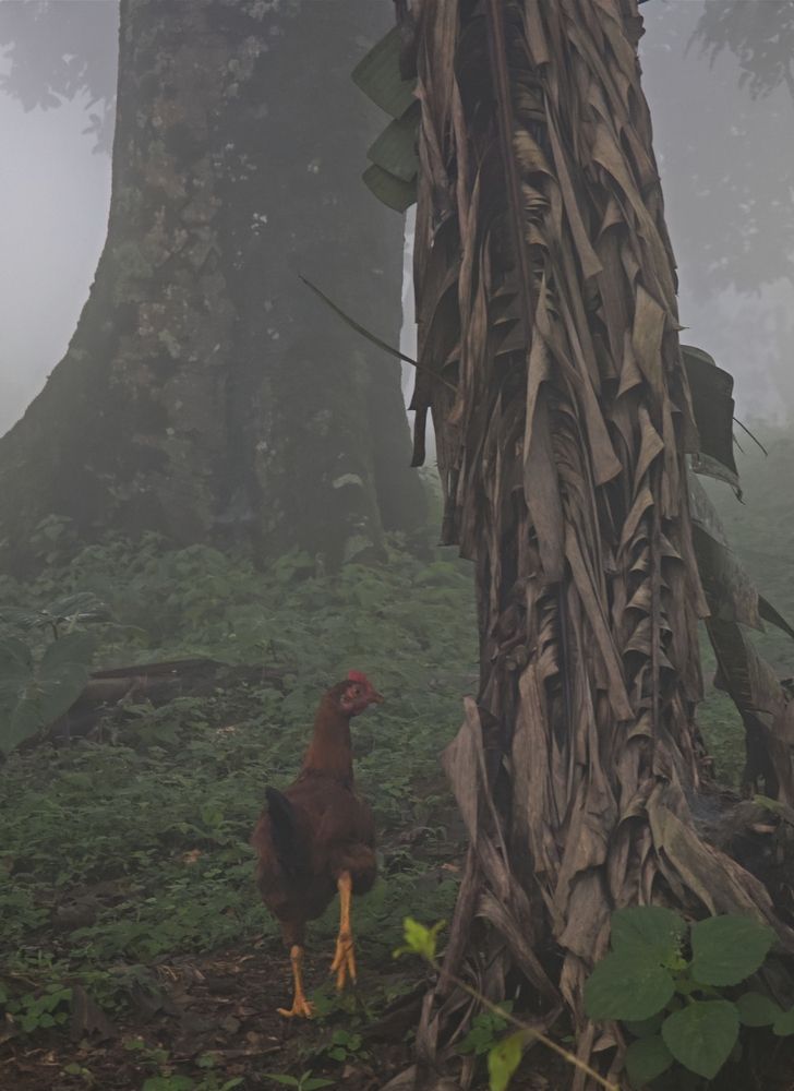 Фотография автора 馮贊謙