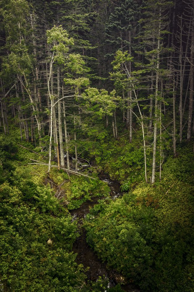 Photograph by Антон Сидоров