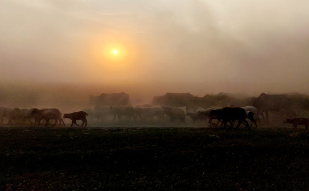 Sunset and the Dusty Veil