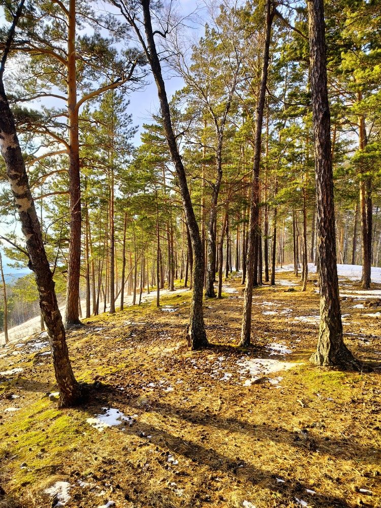 Photograph by Анастасия Горбачева