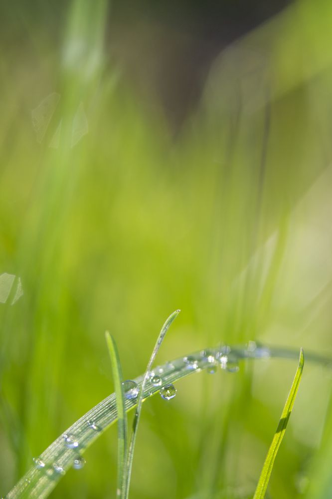 Photograph by Ольга Гоглова