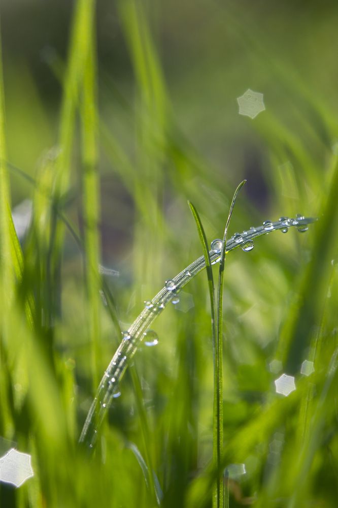 Photograph by Ольга Гоглова