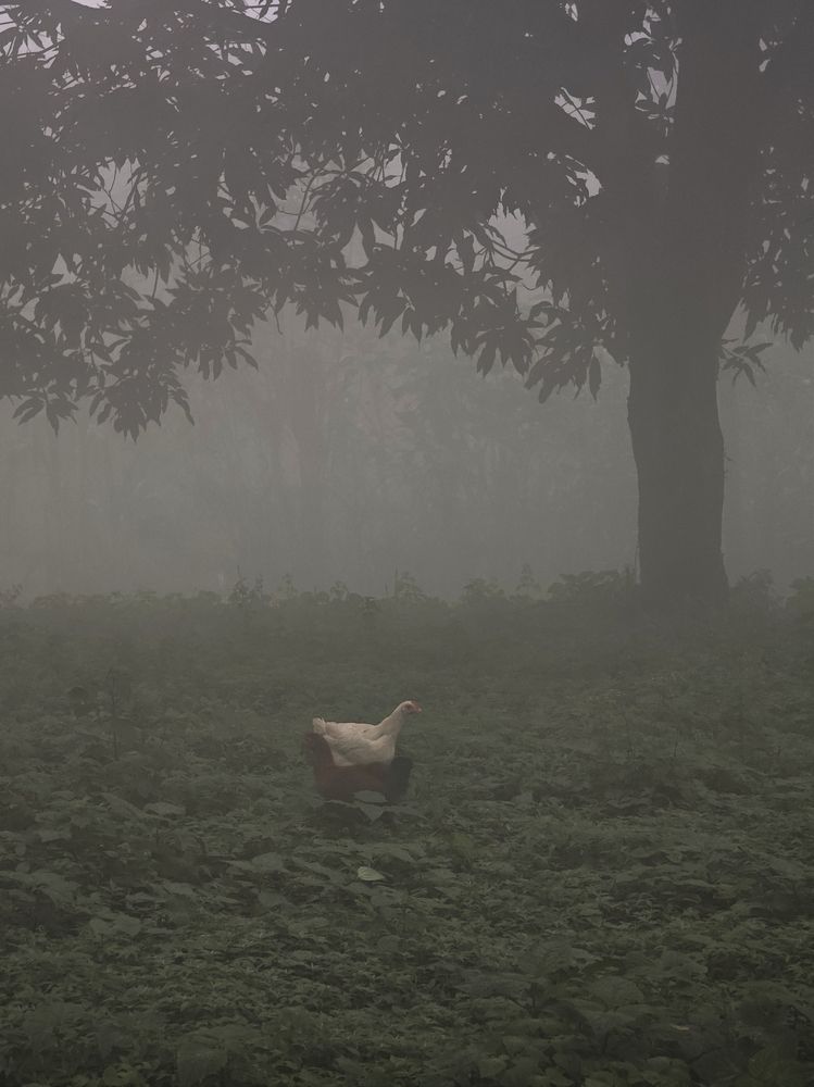 Фотография автора 馮贊謙