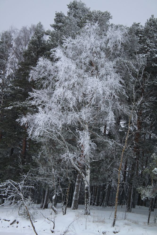 Photograph by Елена Пильцова