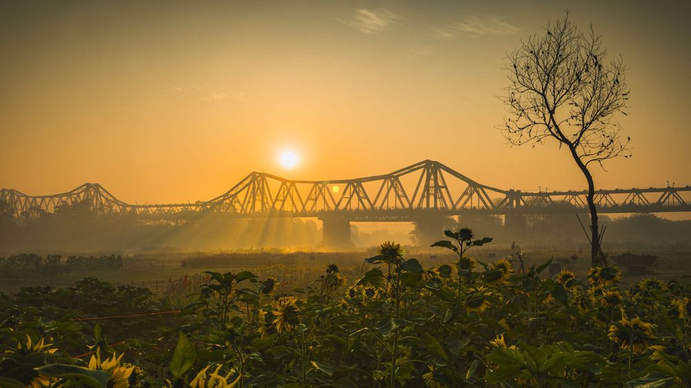 Фотография автора An Nguyen Quoc