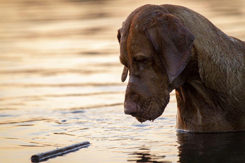 Photograph by Эльнара Исаева