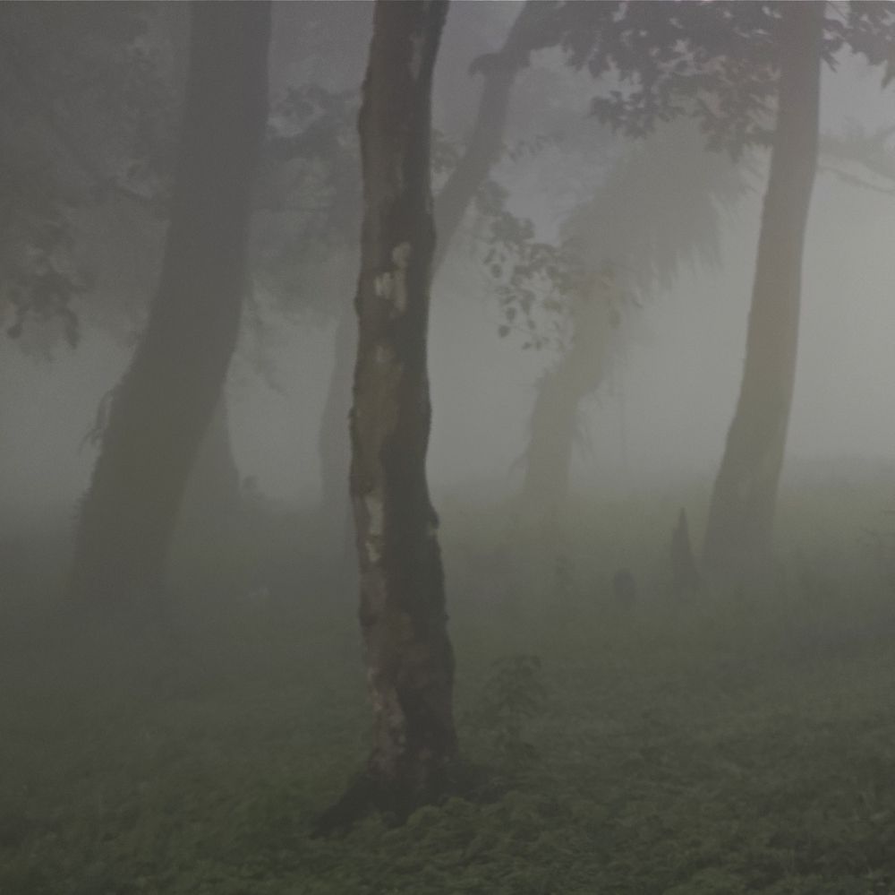 Фотография автора 馮贊謙