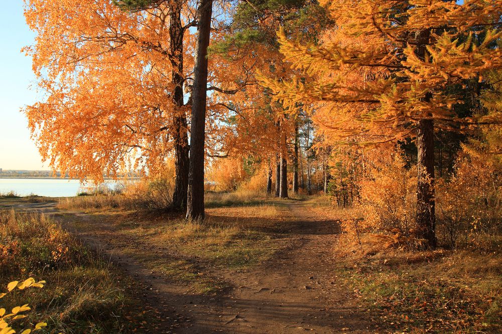 Photograph by Евгений Чуфаров