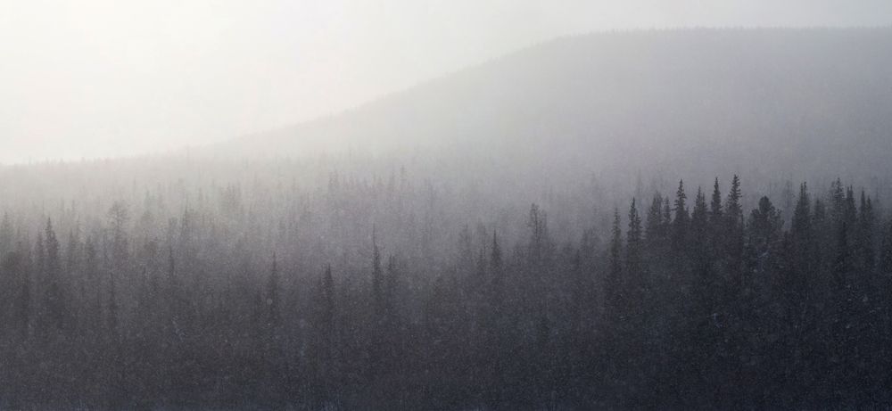 Фотография автора Логвинович Андрей