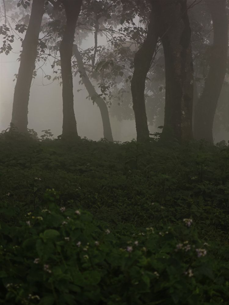 Фотография автора 馮贊謙