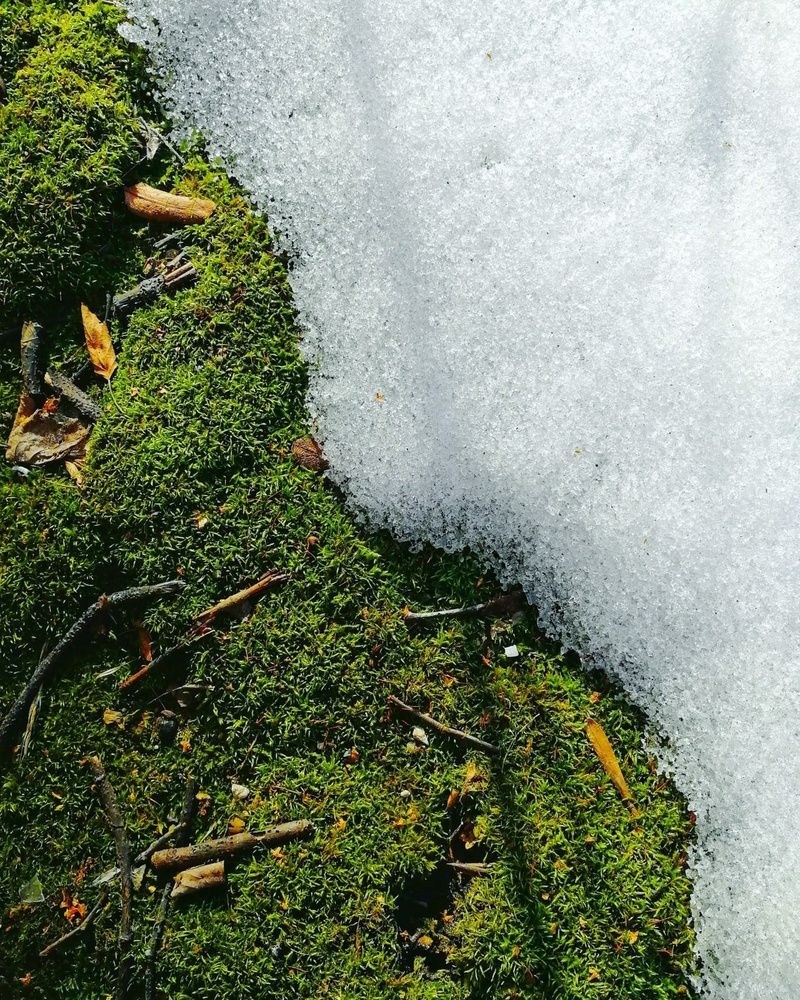 Photograph by Ирина