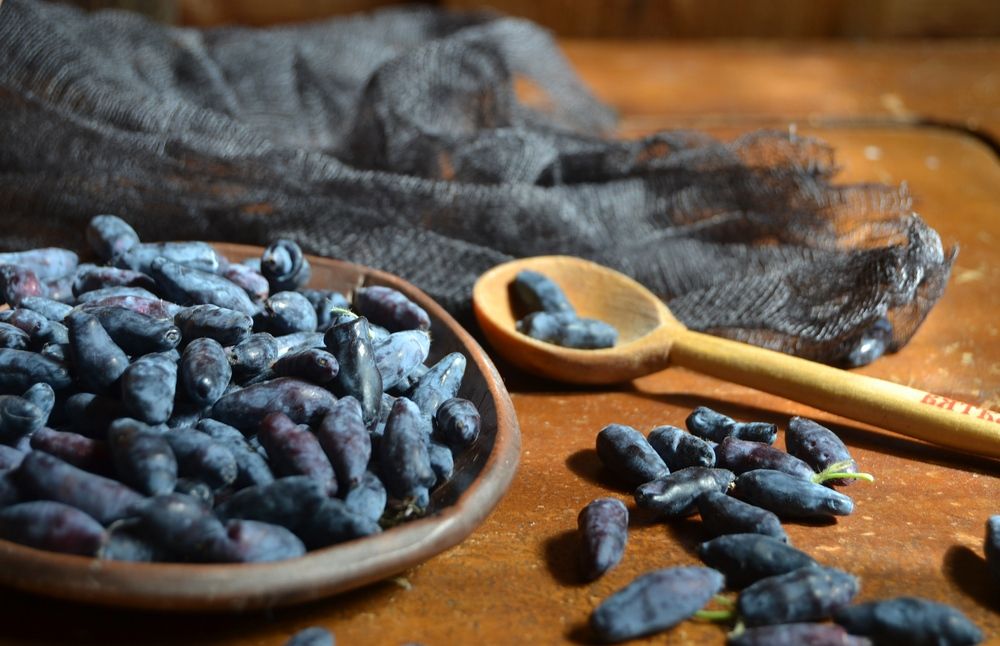 Photograph by Наталья Слудникова