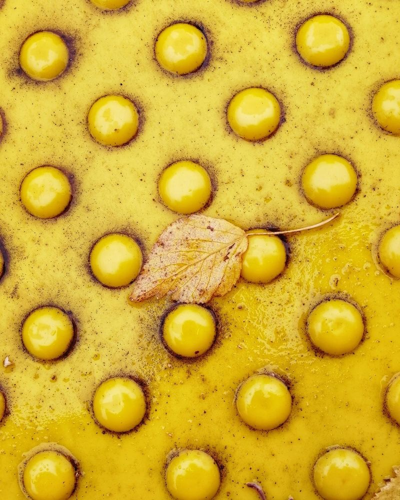 Photograph by Ирина