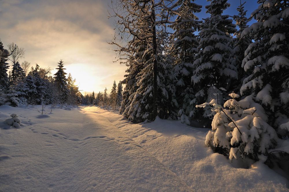 Photograph by Андрей Куликов