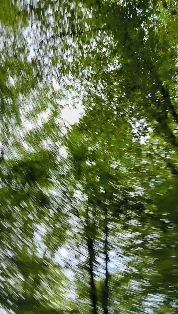 Photograph by Юлия Бурминская