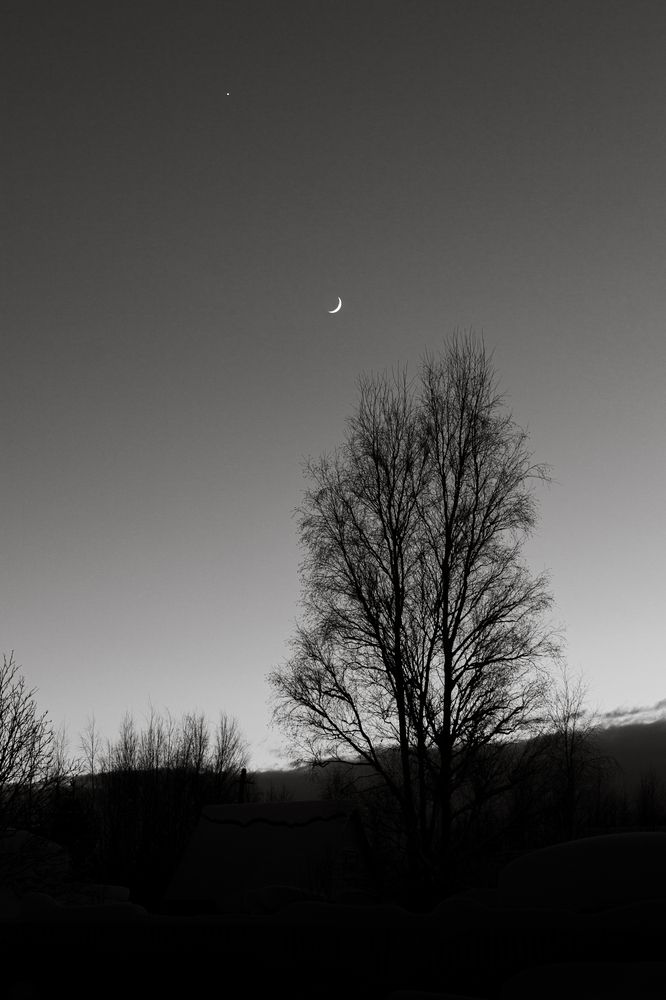 Photograph by Григорий Шишонков