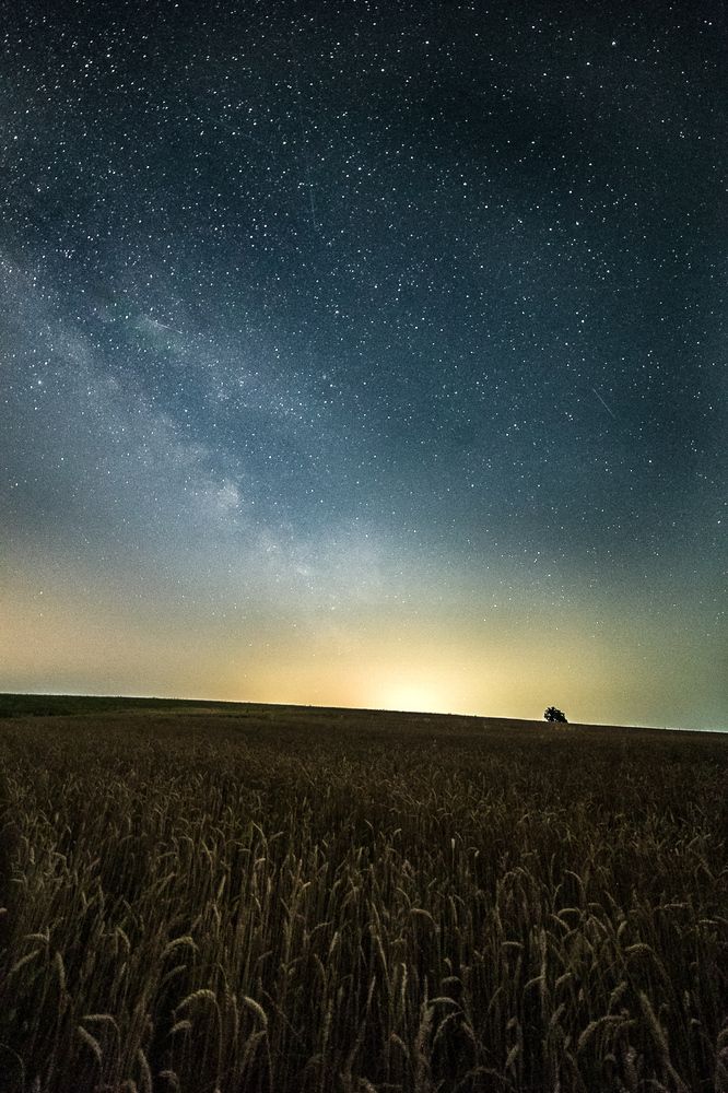 Photograph by Филипп Бабенко