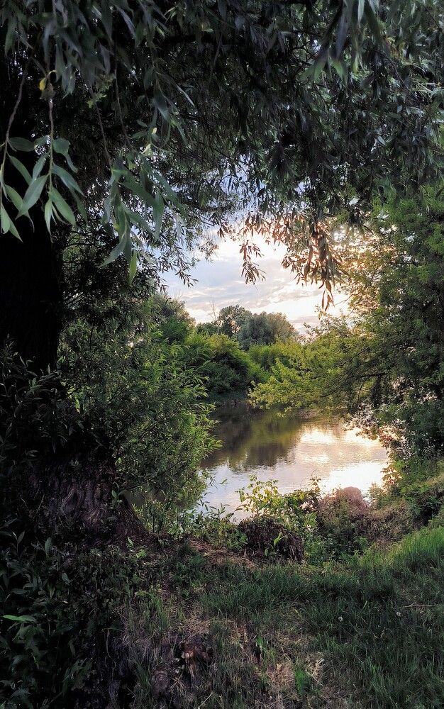 Photograph by Юлия Бурминская