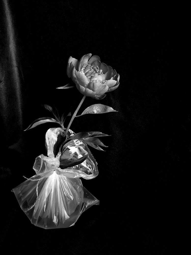 Photograph by Ирина Лукашова