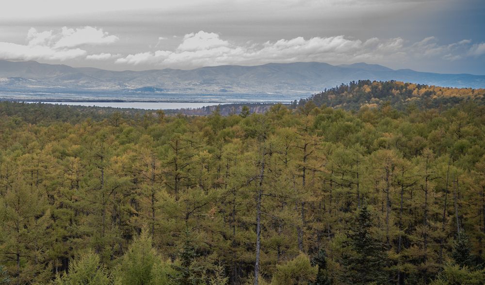 Фотография автора Ирина Голомазова