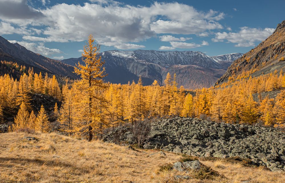 Photograph by Елена Павлова