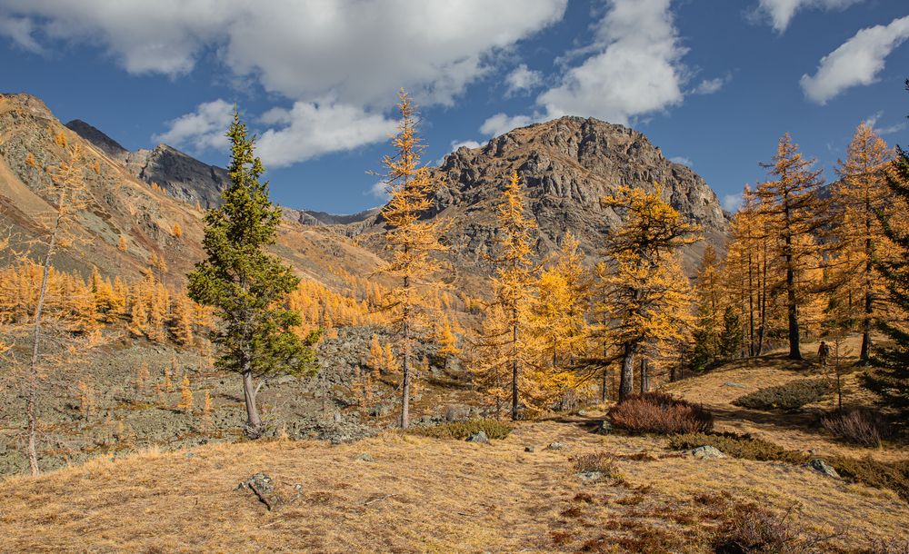 Photograph by Елена Павлова